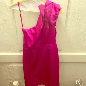 The Limited XS hot pink silk dress